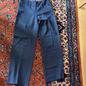 Classic Navy Dress Pants-the Limited